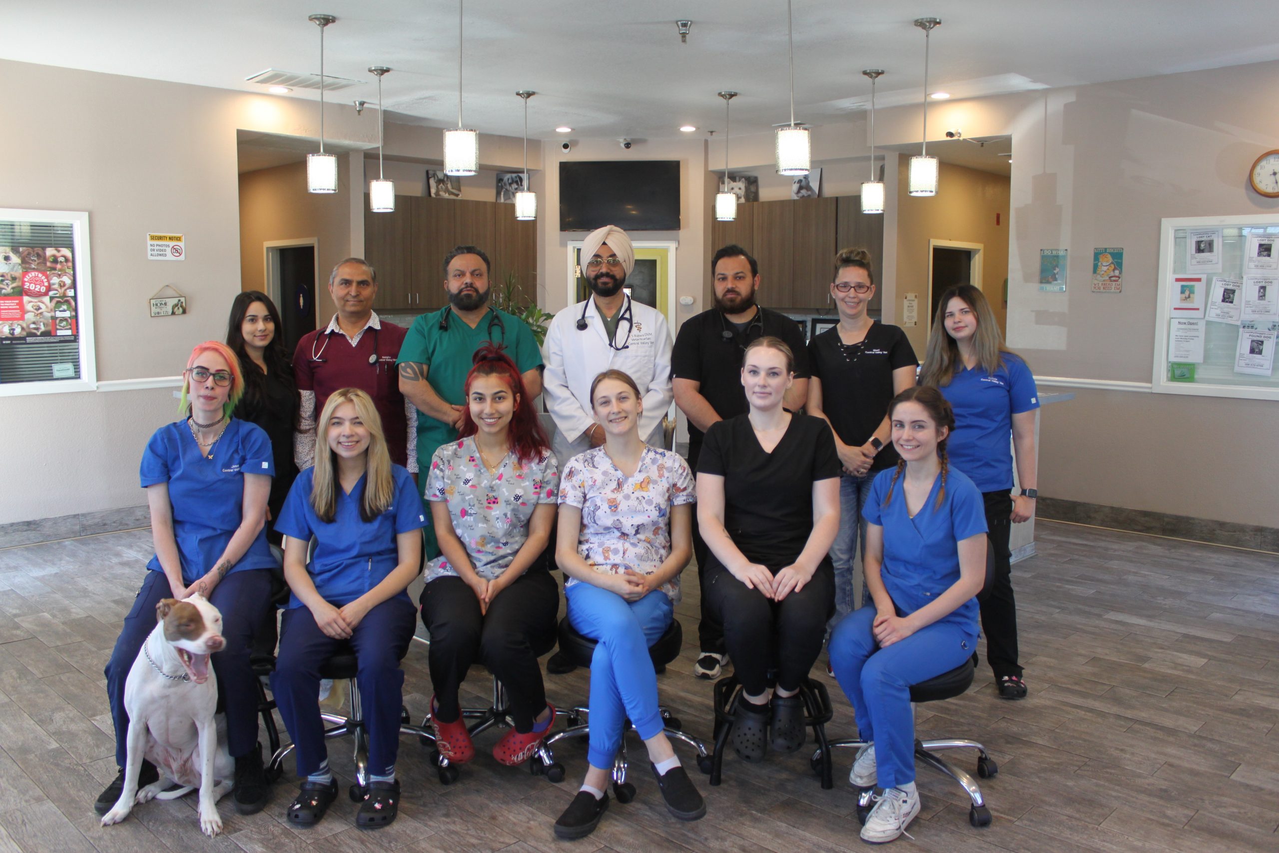 Professional pet care services at Central Valley Veterinary Hospital in Manteca, CA - wellness exams, vaccinations, and preventive care for your pet's long-term health